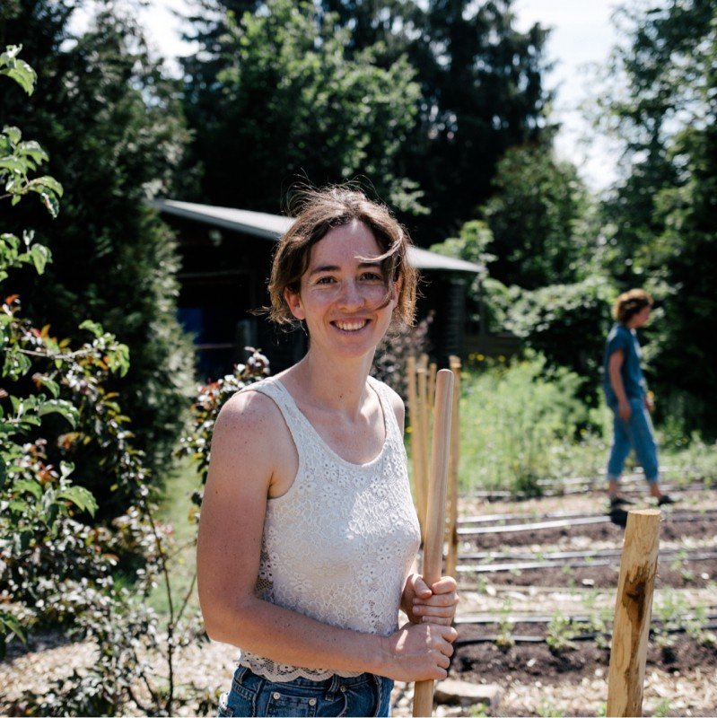 Tiny balcony maximized with wall-mounted planters